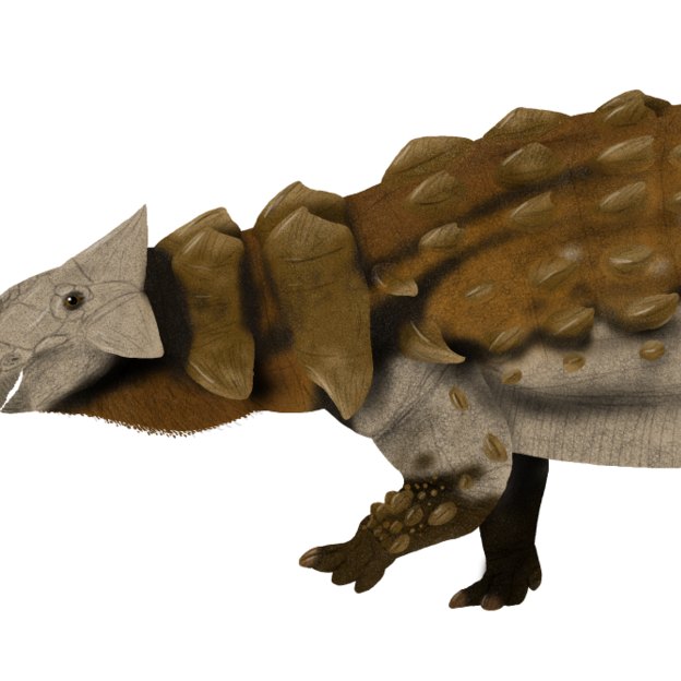 Ankylosaurus wins