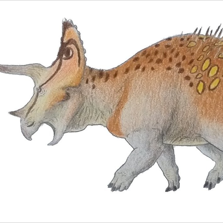 Triceratops wins